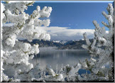 Frosty Tree Frame