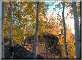 Fall Colors