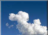 Sky Dog